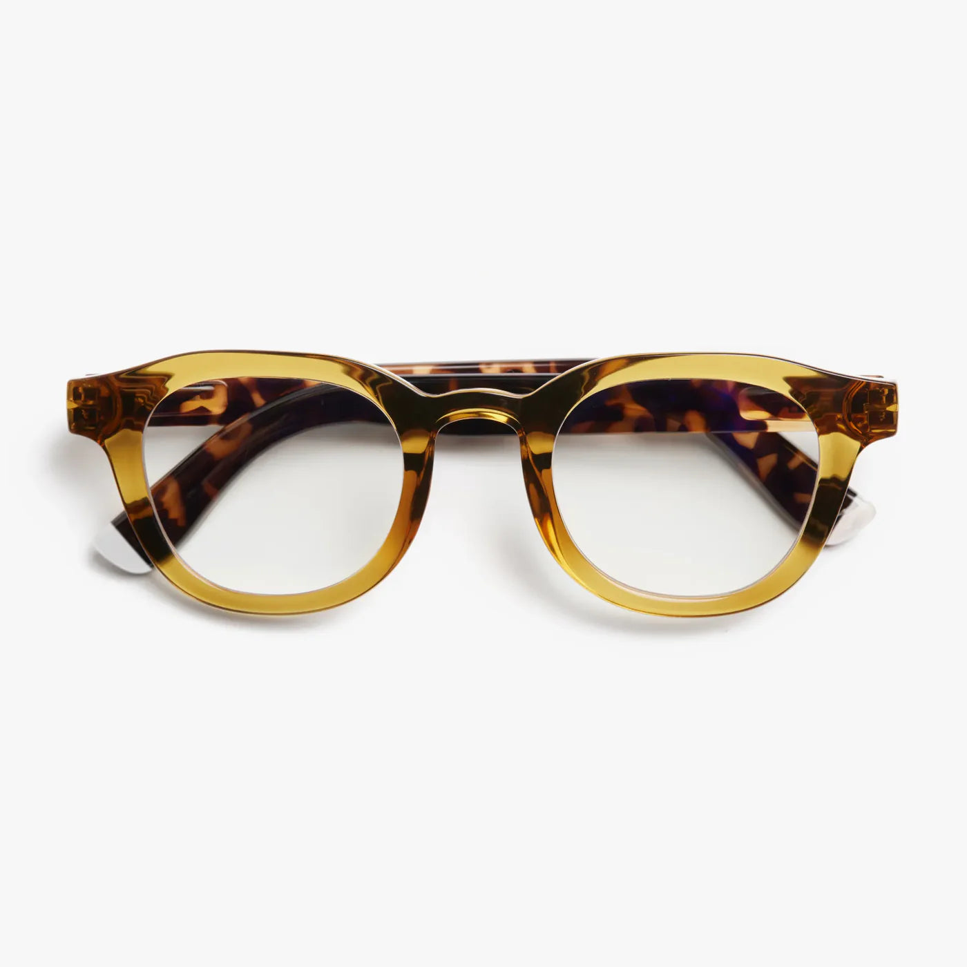 BARNER GAFAS DE LECTURA ANDY GLOSSY COMBI