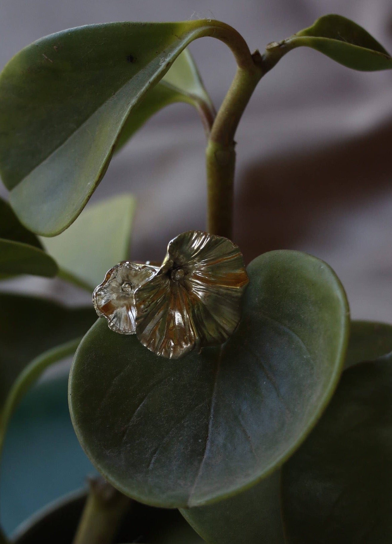 AP/ ANILLO FLORES