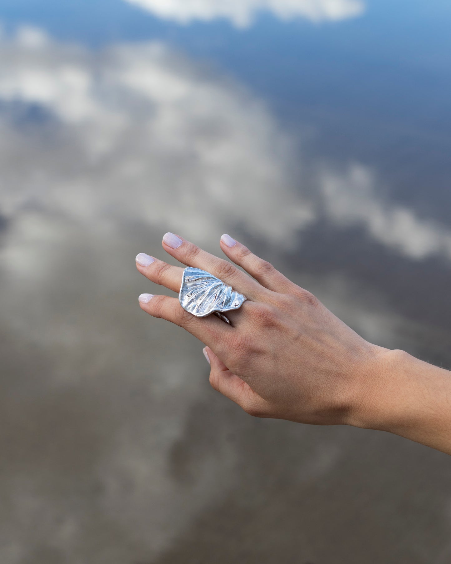 AP/ ANILLO NATURALEZA