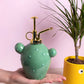 Pulverizador para plantas “ Cactus”