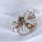 AP/ ANILLO FLORES