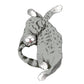 Lámina; “ La vida gata” ( 0,42 x 0,29.5 cm)