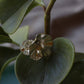 AP/ ANILLO FLORES